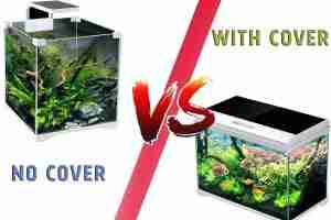 Do Aquariums Need Lids Pros and Cons